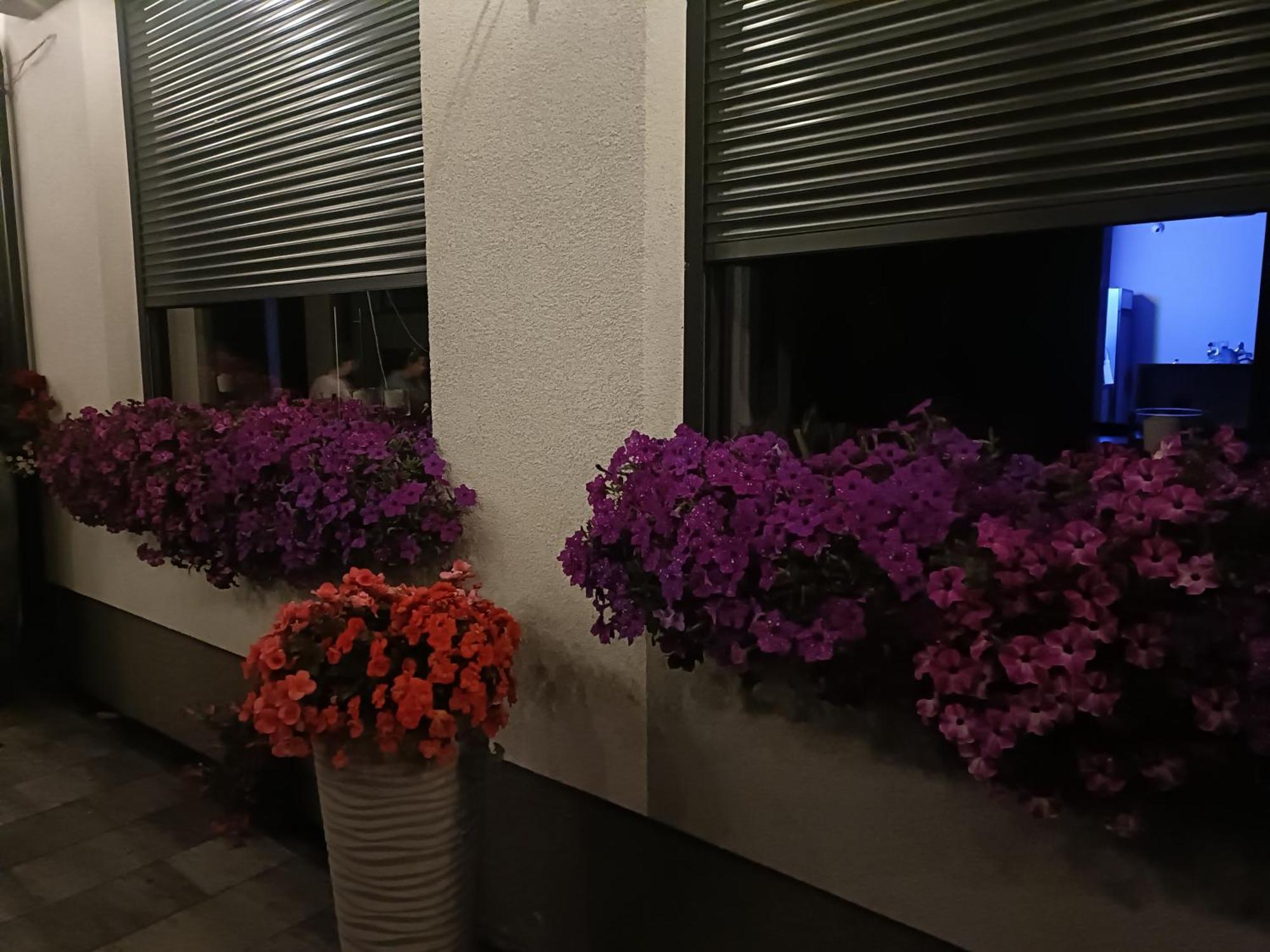 Hotel Lesne Niebo Lubniewice Exteriér fotografie